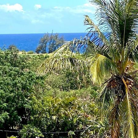 Le Sud Alize Your Host Helper Saint-Joseph Buitenkant foto