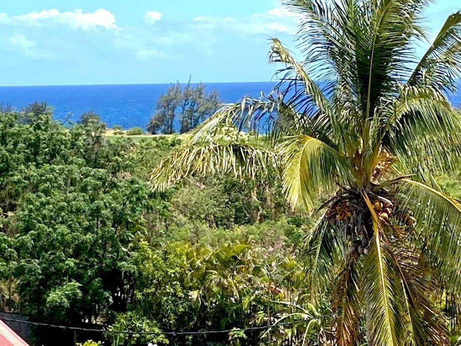 Le Sud Alize Your Host Helper Saint-Joseph Buitenkant foto